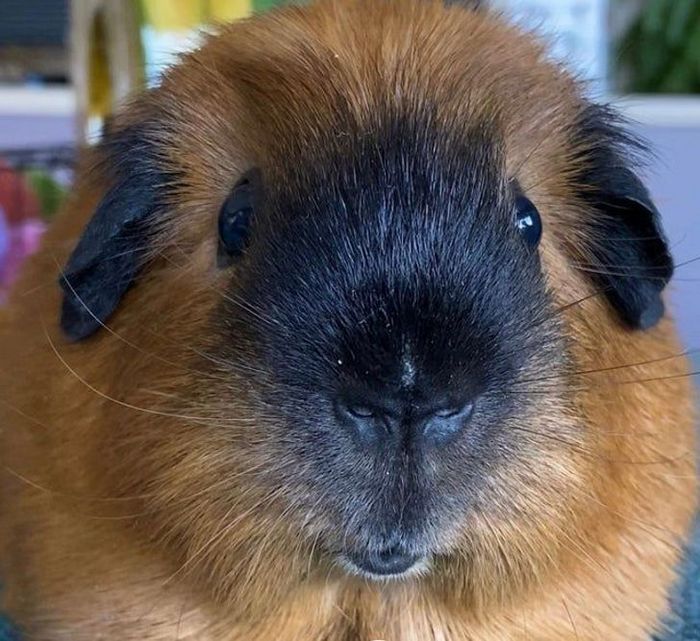 18 fotos que irão bagunçar a sua mente 8