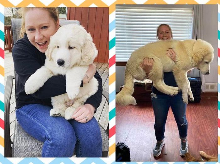 15 animais que era pequeno que se transformaram em grandes e majestosos 9