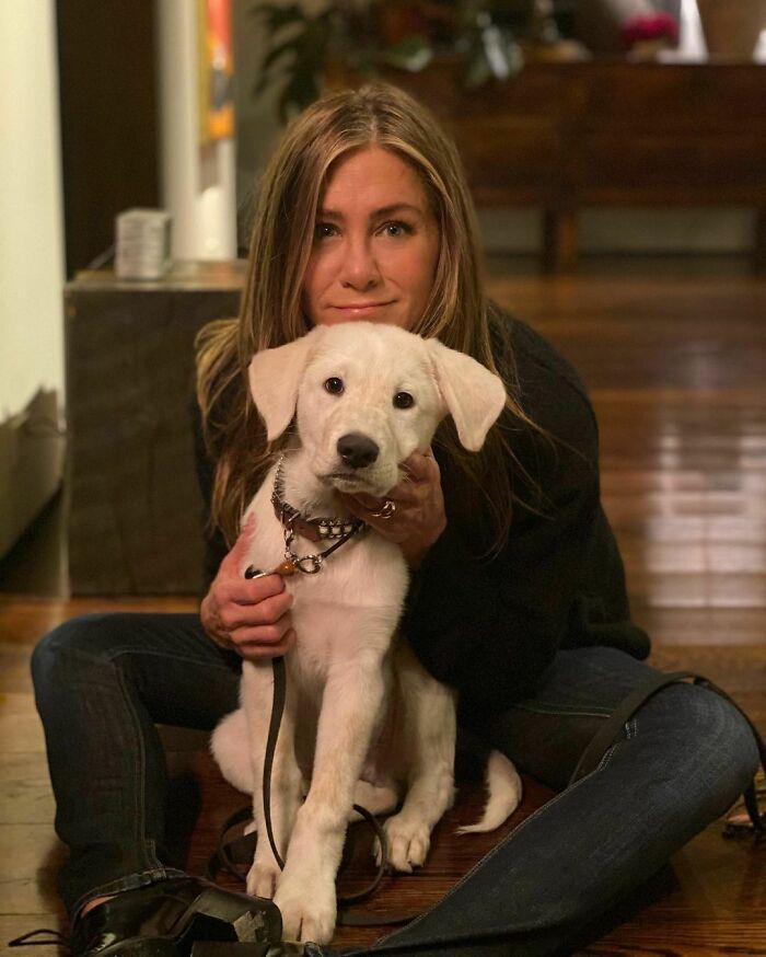 38 celebridades que são verdadeiros amantes de cães 10