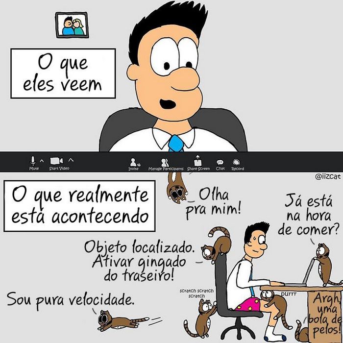 19 divertidas situações da vida quando um gato deixa você morar na casa dele 9