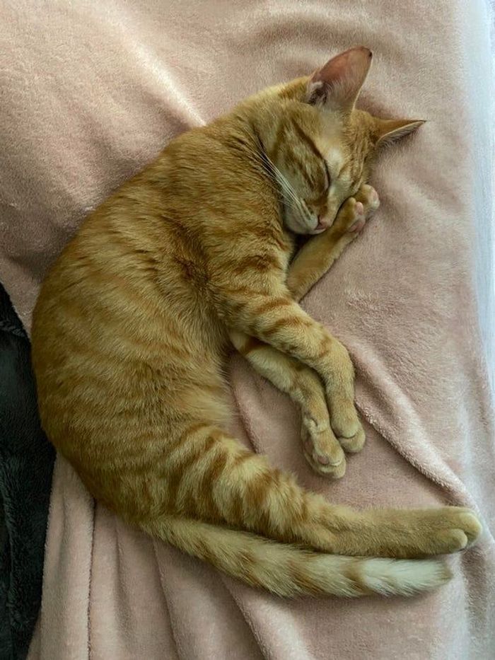 18 fotos que irão bagunçar a sua mente 9