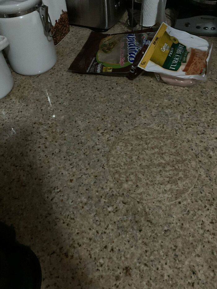 25 que escondem verdadeiros mestres da camuflagem acidental 9