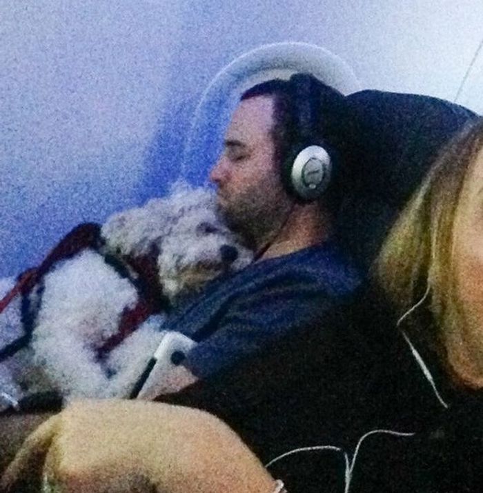 25 viajantes que ninguém esperava encontrar em uma viagem 9