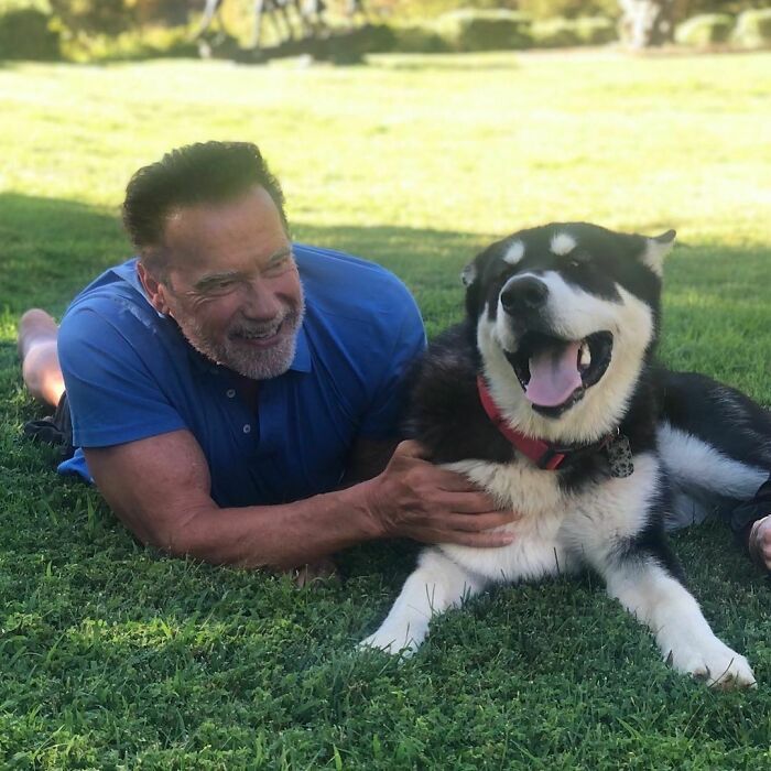 38 celebridades que são verdadeiros amantes de cães 11