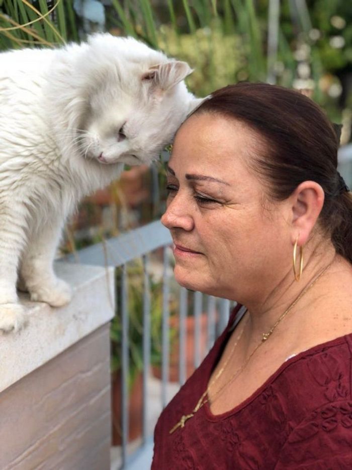 20 fotos que provam que animais e humanos são inseparáveis, como as duas faces da mesma moeda 11