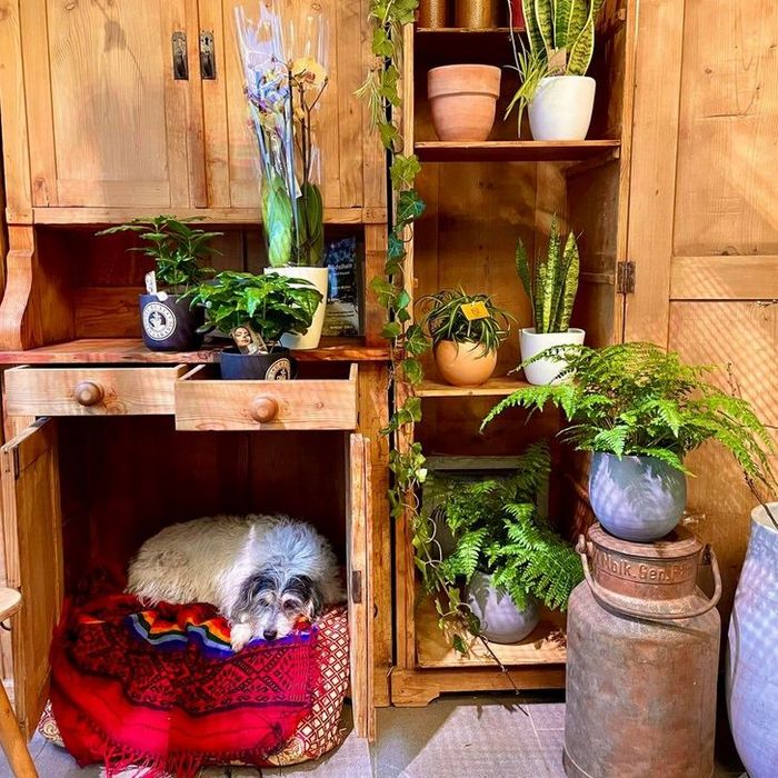 26 pessoas que usaram suas habilidades para organizar sua casa 11