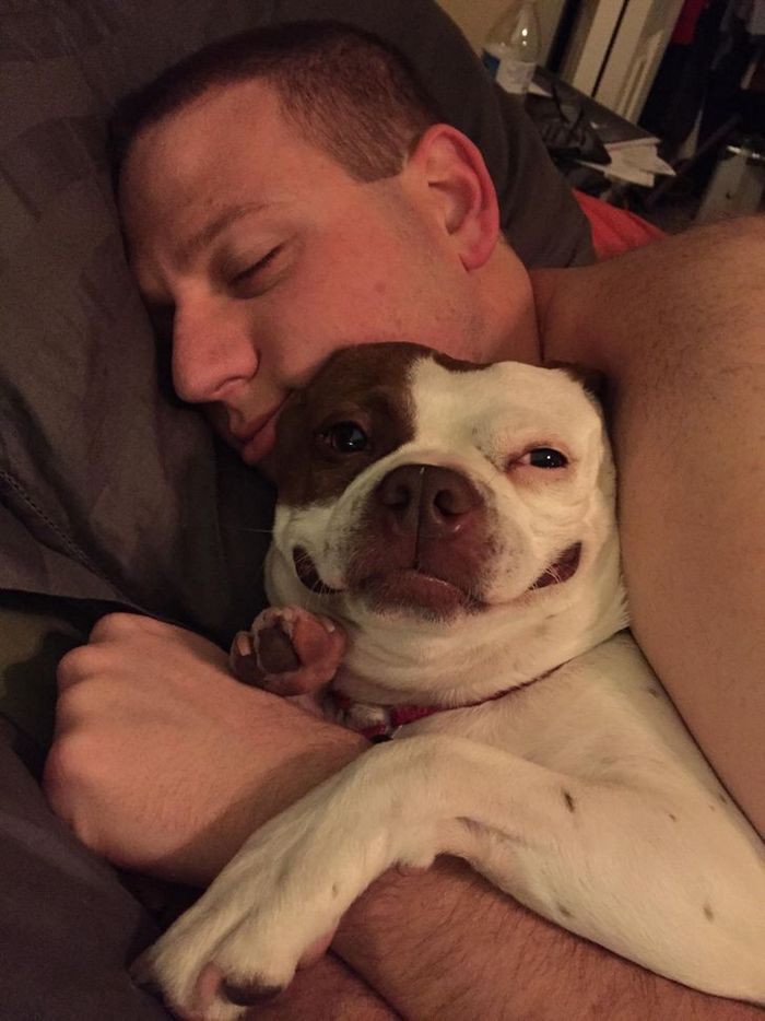 26 cachorros e suas poses super engraçadas 11