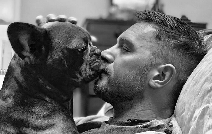 38 celebridades que são verdadeiros amantes de cães 12