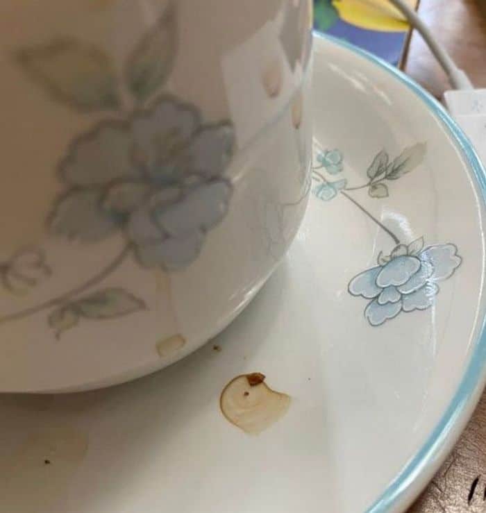 18 fotos que irão bagunçar a sua mente 11