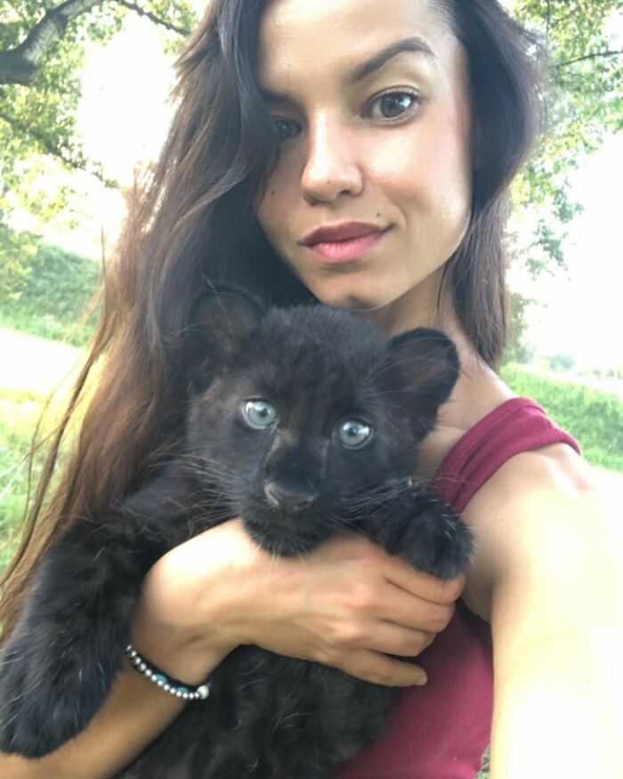 Pantera rejeitada pela mãe conquista internet ao lado do irmão Rottweiler 11