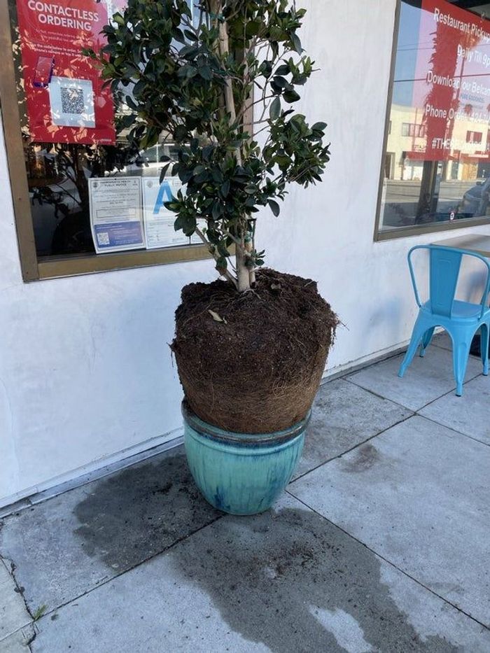 19 pessoas que tiveram apenas um emprego e ainda conseguiram arruiná-lo 11