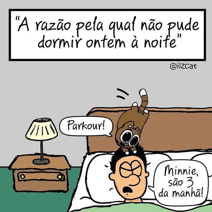 19 divertidas situações da vida quando um gato deixa você morar na casa dele 12