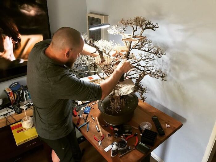 24 fantásticas casas na árvore de bonsai 12