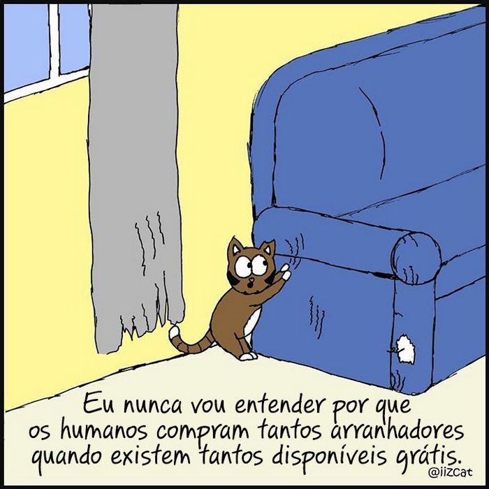 19 divertidas situações da vida quando um gato deixa você morar na casa dele 13