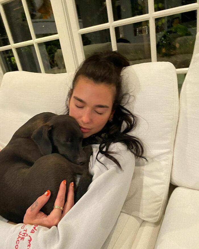 38 celebridades que são verdadeiros amantes de cães 15