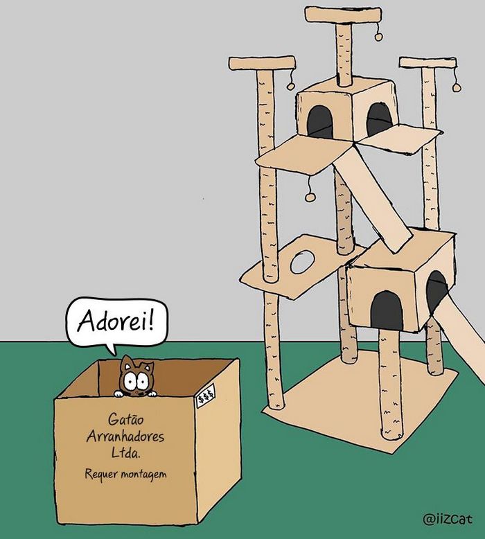 19 divertidas situações da vida quando um gato deixa você morar na casa dele 14