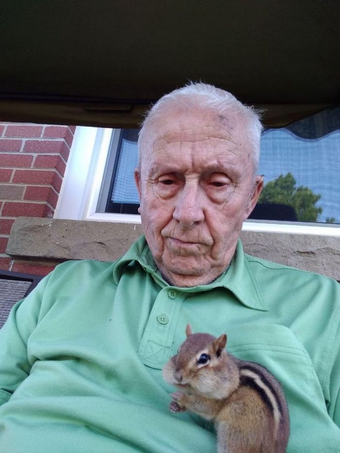 20 fotos que provam que animais e humanos são inseparáveis, como as duas faces da mesma moeda 15