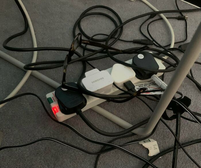 25 que escondem verdadeiros mestres da camuflagem acidental 14