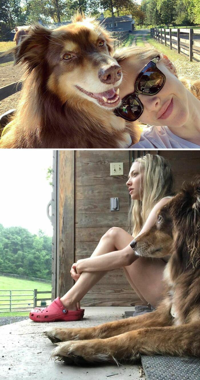 38 celebridades que são verdadeiros amantes de cães 16