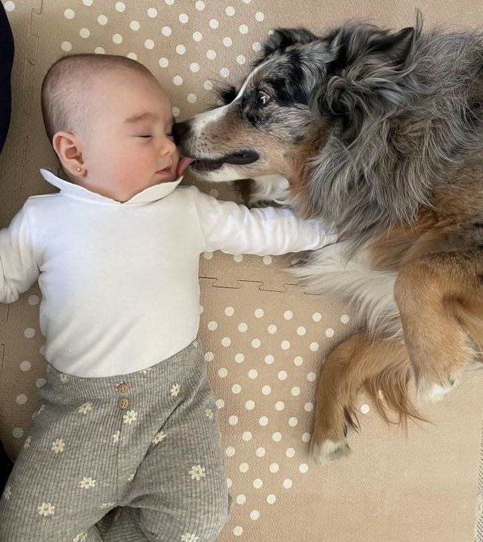 20 fotos que podem fazer você acreditar que há uma alma gêmea para você 16