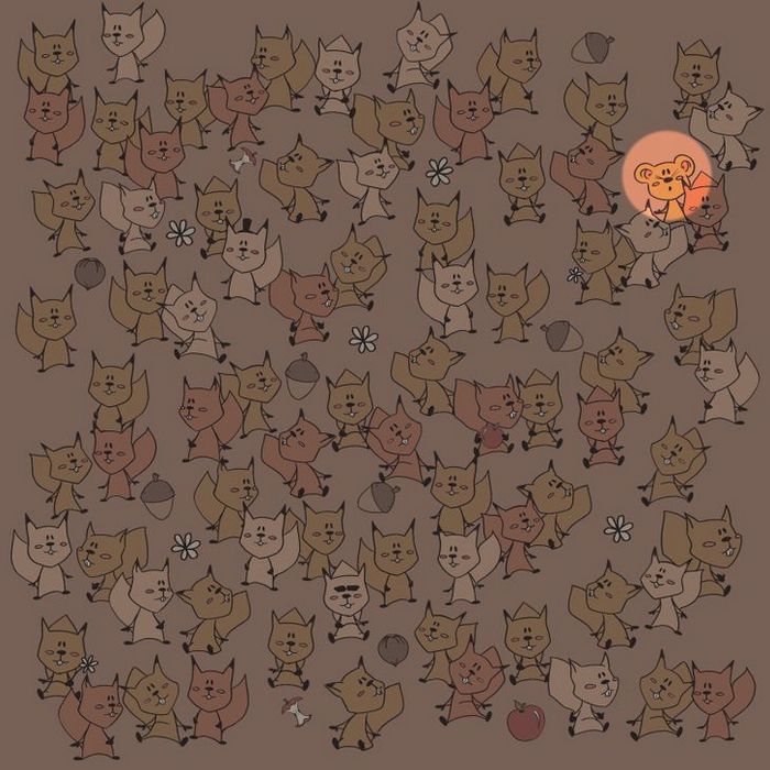 Teste: Encontre o que está se escondendo nessas 15 fotos 30