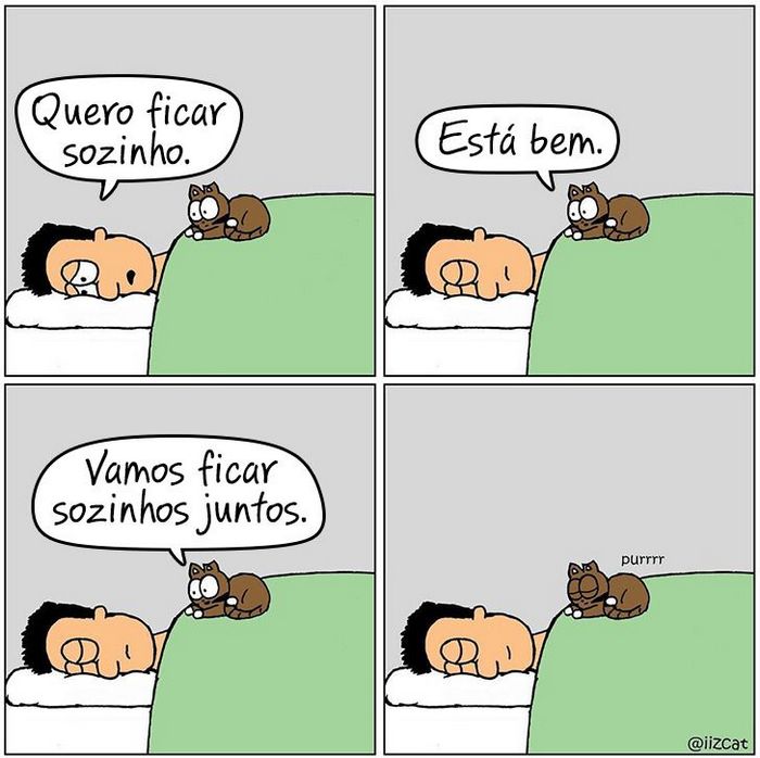 19 divertidas situações da vida quando um gato deixa você morar na casa dele 16