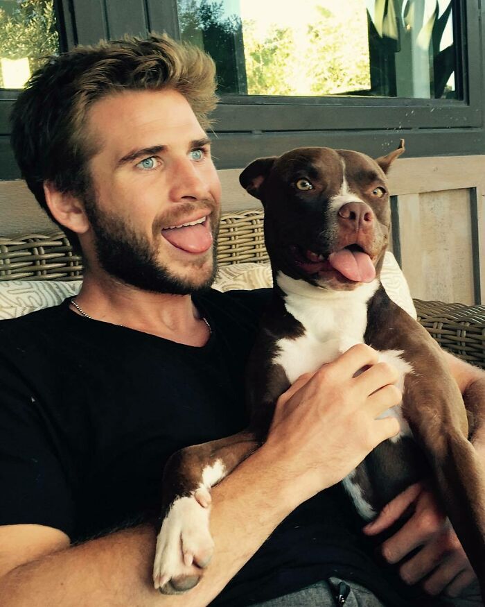 38 celebridades que são verdadeiros amantes de cães 18