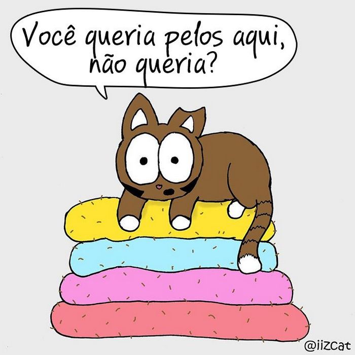 19 divertidas situações da vida quando um gato deixa você morar na casa dele 17