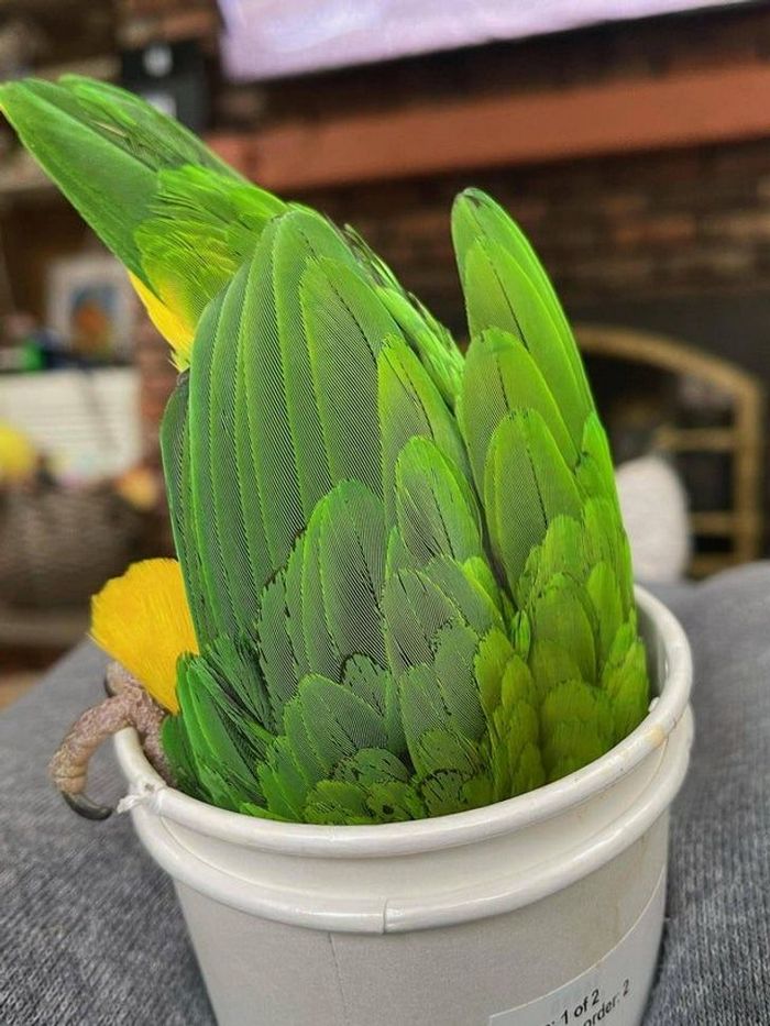 18 fotos que irão bagunçar a sua mente 17