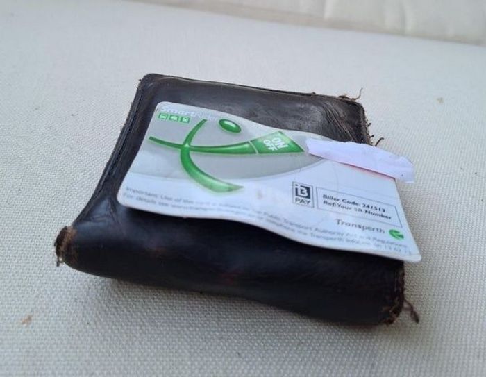 18 motivos que a Austrália é um país surpreendente 17