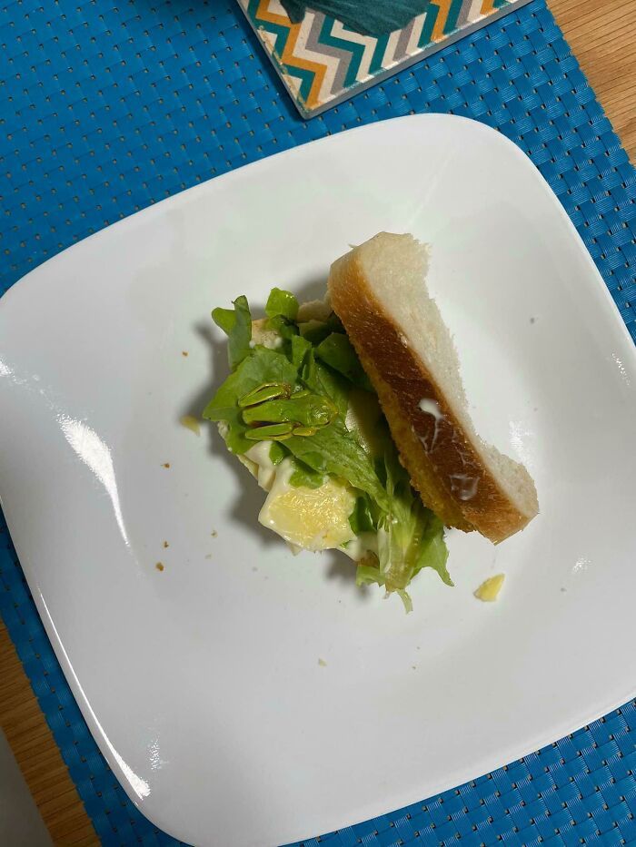 25 que escondem verdadeiros mestres da camuflagem acidental 17