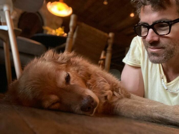 38 celebridades que são verdadeiros amantes de cães 19