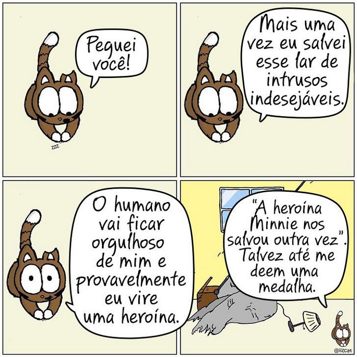 19 divertidas situações da vida quando um gato deixa você morar na casa dele 18