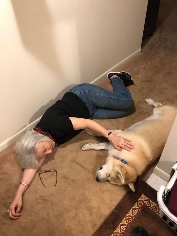 20 fotos que provam que animais e humanos são inseparáveis, como as duas faces da mesma moeda 19