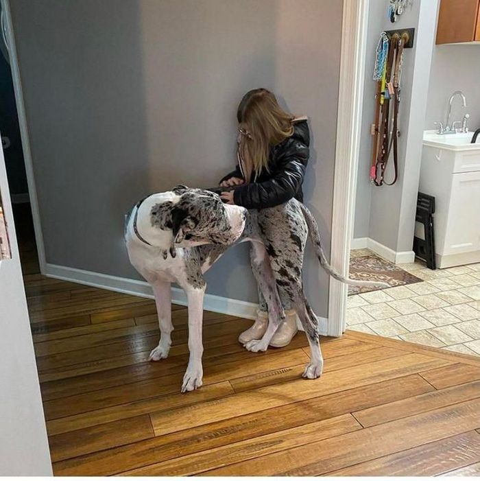 18 fotos que irão bagunçar a sua mente 18