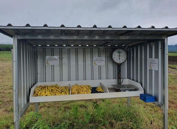 18 motivos que a Austrália é um país surpreendente 18