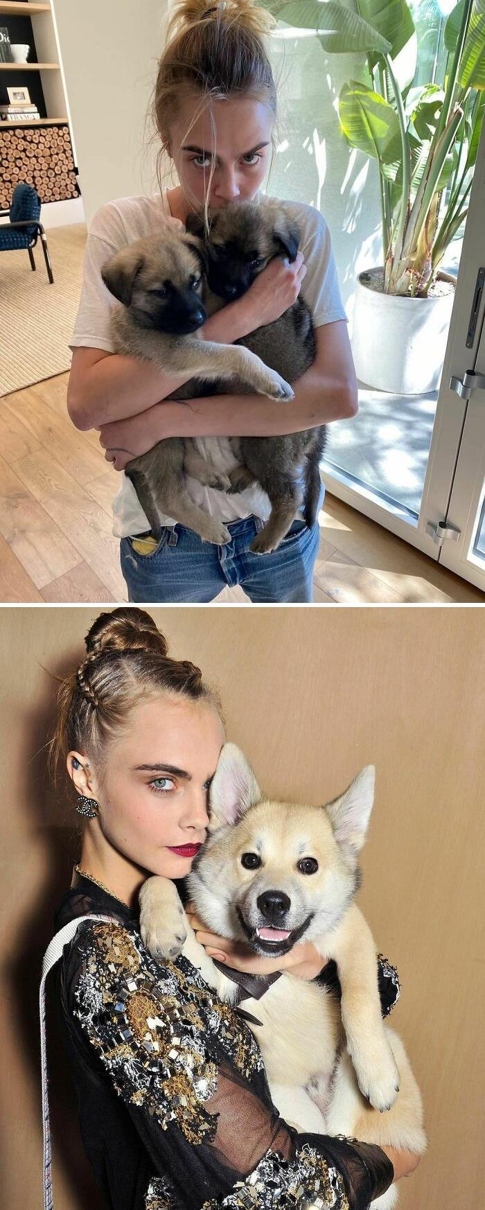 38 celebridades que são verdadeiros amantes de cães 20