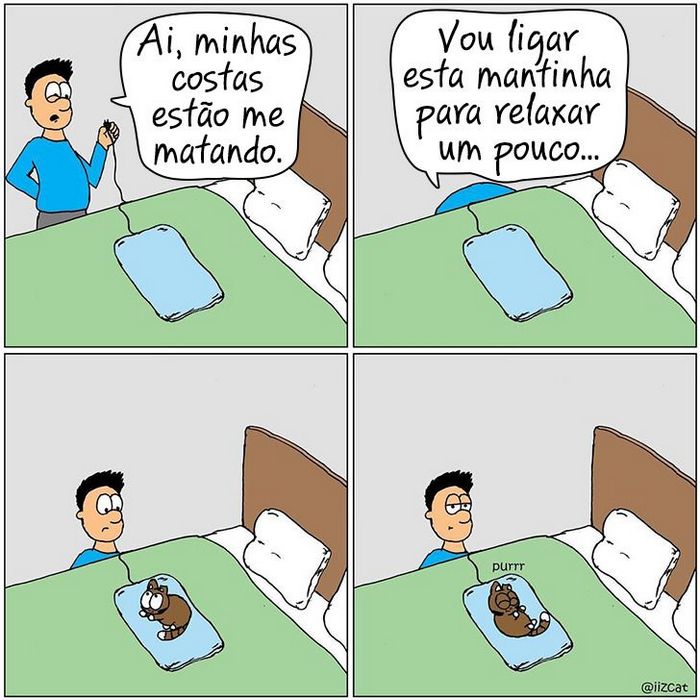 19 divertidas situações da vida quando um gato deixa você morar na casa dele 19