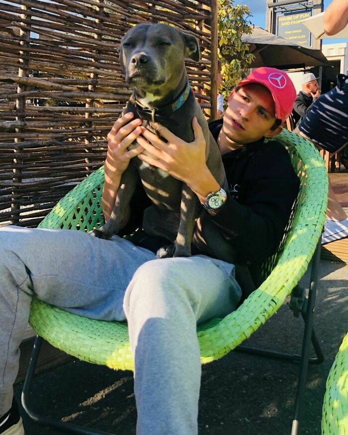 38 celebridades que são verdadeiros amantes de cães 23