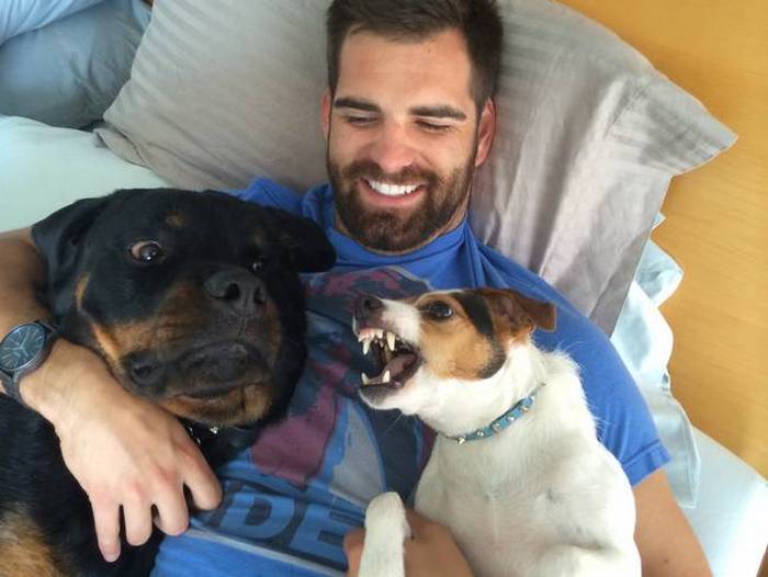 26 cachorros e suas poses super engraçadas 23