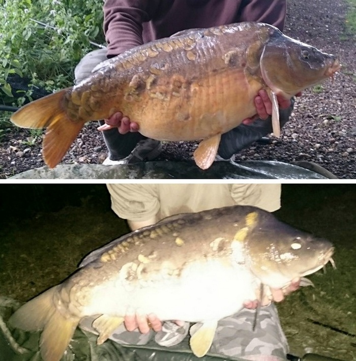 26 vezes que a coincidência se fez presente de um jeito incrível 23