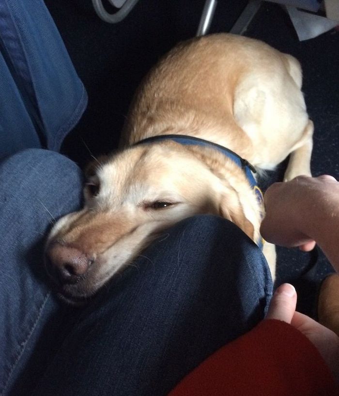 25 viajantes que ninguém esperava encontrar em uma viagem 23