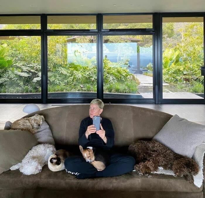 38 celebridades que são verdadeiros amantes de cães 26
