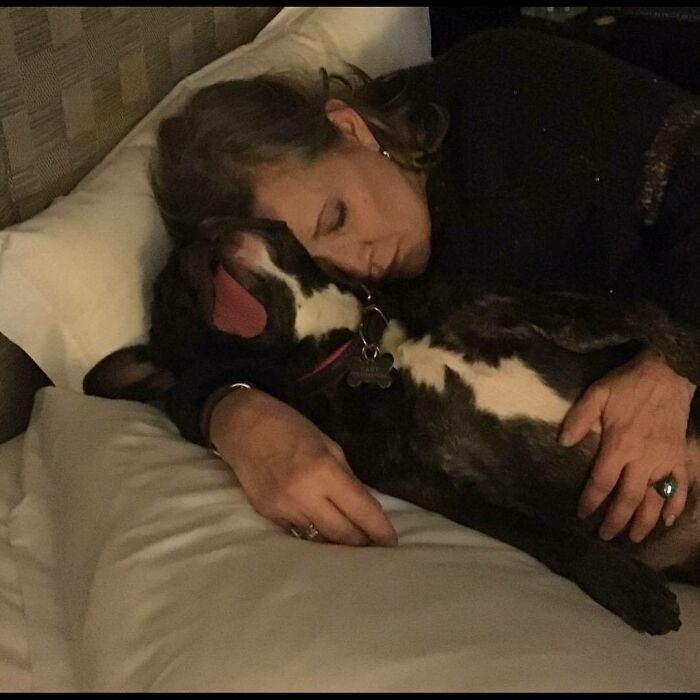 38 celebridades que são verdadeiros amantes de cães 31
