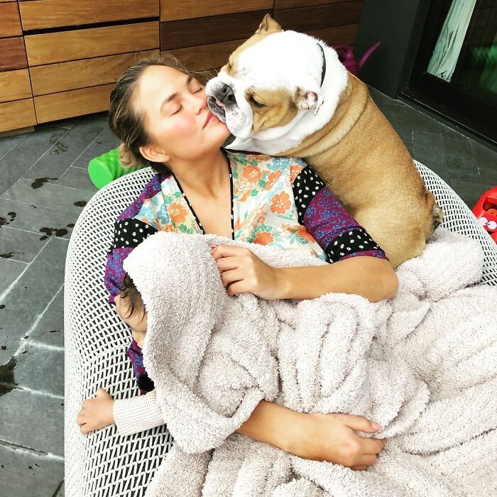 38 celebridades que são verdadeiros amantes de cães 32