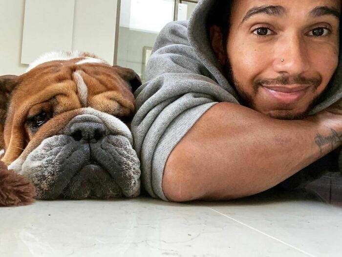 38 celebridades que são verdadeiros amantes de cães 33