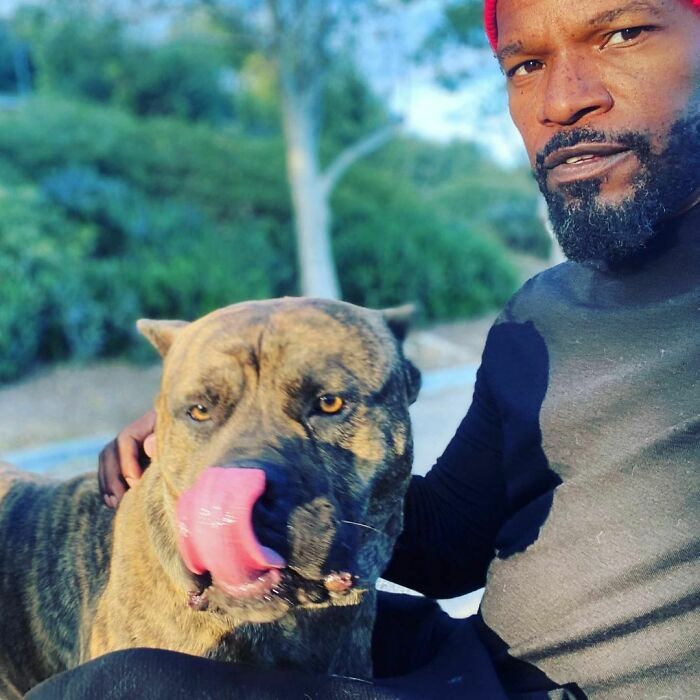 38 celebridades que são verdadeiros amantes de cães 34