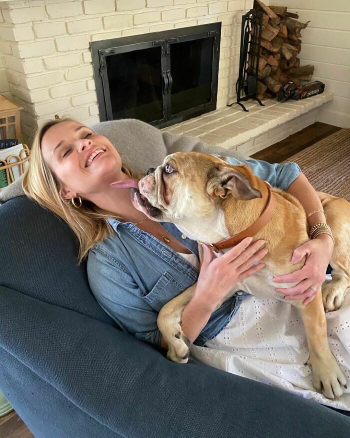 38 celebridades que são verdadeiros amantes de cães 35