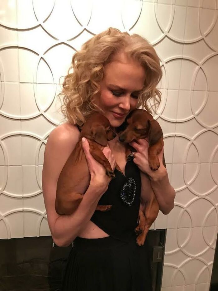 38 celebridades que são verdadeiros amantes de cães 36