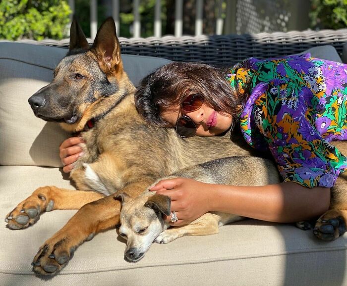 38 celebridades que são verdadeiros amantes de cães 39